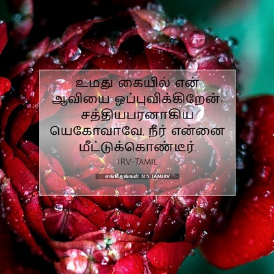 Picture 07 - சங்கீதங்கள் 31:5 TAMIRV - உமது கையில் என் - Bible Verse Picture