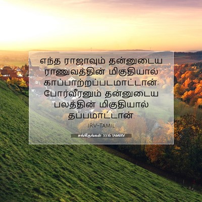 Picture 07 - சங்கீதங்கள் 33:16 TAMIRV - எந்த ராஜாவும் - Bible Verse Picture