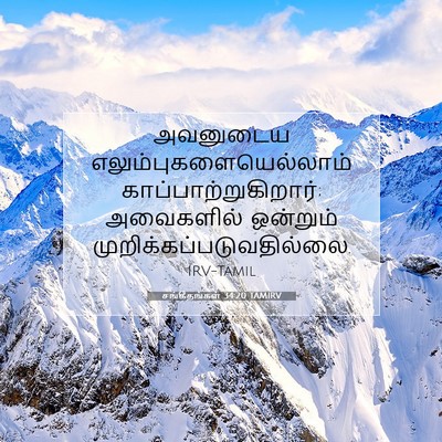 Picture 07 - சங்கீதங்கள் 34:20 TAMIRV - அவனுடைய - Bible Verse Picture