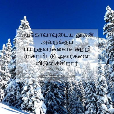 Picture 07 - சங்கீதங்கள் 34:7 TAMIRV - யெகோவாவுடைய தூதன் - Bible Verse Picture