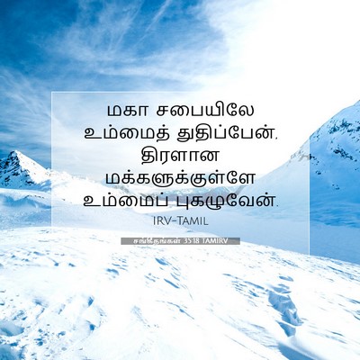 Picture 07 - சங்கீதங்கள் 35:18 TAMIRV - மகா சபையிலே - Bible Verse Picture