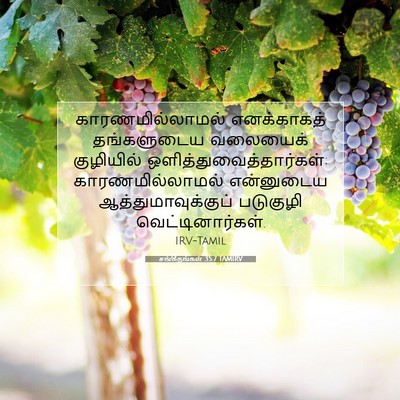 Picture 07 - சங்கீதங்கள் 35:7 TAMIRV - காரணமில்லாமல் - Bible Verse Picture
