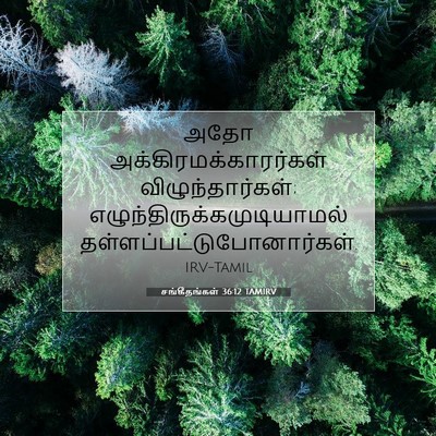 Picture 07 - சங்கீதங்கள் 36:12 TAMIRV - அதோ - Bible Verse Picture