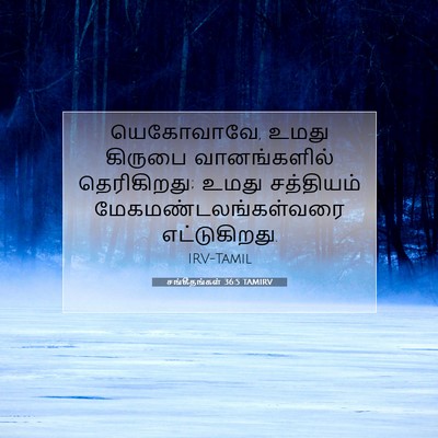 Picture 07 - சங்கீதங்கள் 36:5 TAMIRV - யெகோவாவே, உமது - Bible Verse Picture