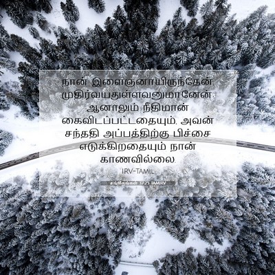 Picture 07 - சங்கீதங்கள் 37:25 TAMIRV - நான் - Bible Verse Picture