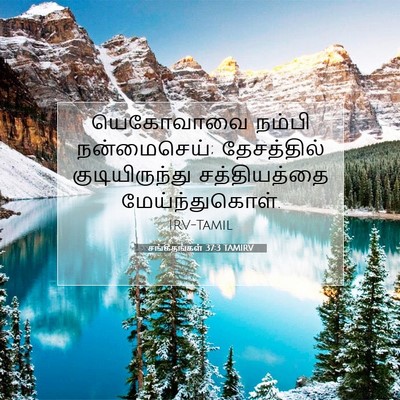 Picture 07 - சங்கீதங்கள் 37:3 TAMIRV - யெகோவாவை நம்பி - Bible Verse Picture
