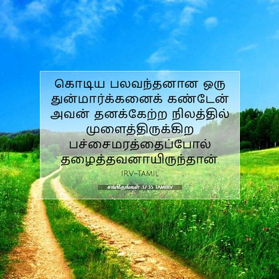 Picture 07 - சங்கீதங்கள் 37:35 TAMIRV - கொடிய பலவந்தனான - Bible Verse Picture