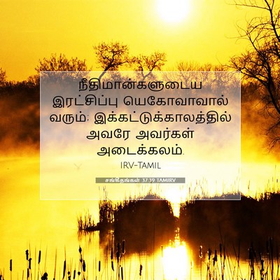 Picture 07 - சங்கீதங்கள் 37:39 TAMIRV - நீதிமான்களுடைய - Bible Verse Picture