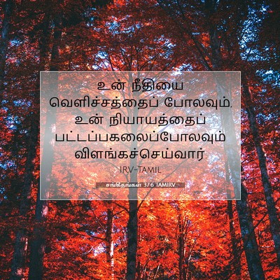 Picture 07 - சங்கீதங்கள் 37:6 TAMIRV - உன் நீதியை - Bible Verse Picture