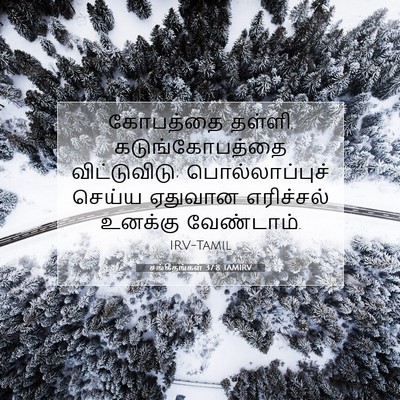 Picture 07 - சங்கீதங்கள் 37:8 TAMIRV - கோபத்தை தள்ளி, - Bible Verse Picture