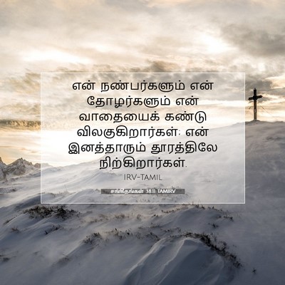 Picture 07 - சங்கீதங்கள் 38:11 TAMIRV - என் நண்பர்களும் - Bible Verse Picture