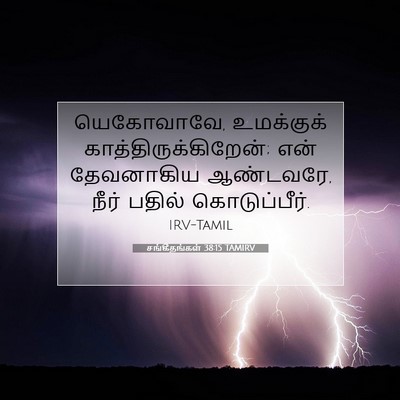 Picture 07 - சங்கீதங்கள் 38:15 TAMIRV - யெகோவாவே, - Bible Verse Picture