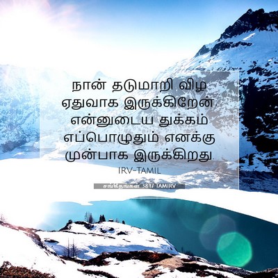 Picture 07 - சங்கீதங்கள் 38:17 TAMIRV - நான் தடுமாறி விழ - Bible Verse Picture