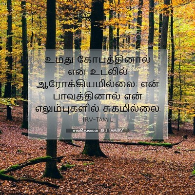 Picture 07 - சங்கீதங்கள் 38:3 TAMIRV - உமது கோபத்தினால் - Bible Verse Picture