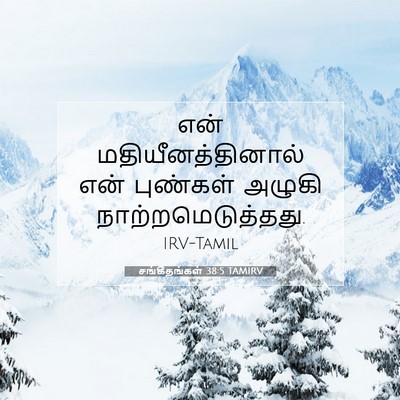 Picture 07 - சங்கீதங்கள் 38:5 TAMIRV - என் - Bible Verse Picture