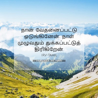Picture 07 - சங்கீதங்கள் 38:6 TAMIRV - நான் வேதனைப்பட்டு - Bible Verse Picture