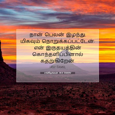 Picture 07 - சங்கீதங்கள் 38:8 TAMIRV - நான் பெலன் இழந்து, - Bible Verse Picture