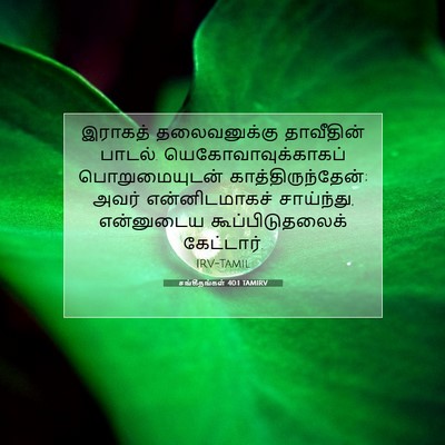 Picture 07 - சங்கீதங்கள் 40:1 TAMIRV - இராகத் தலைவனுக்கு - Bible Verse Picture