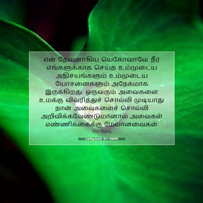 Picture 07 - சங்கீதங்கள் 40:5 TAMIRV - என் தேவனாகிய - Bible Verse Picture