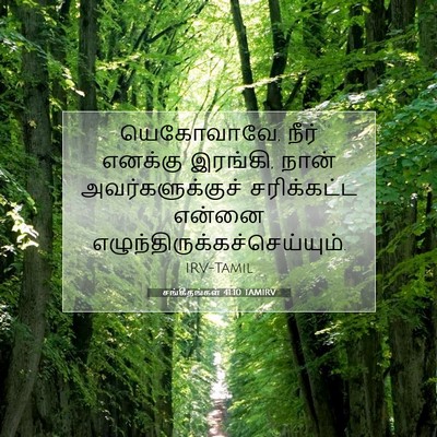 Picture 07 - சங்கீதங்கள் 41:10 TAMIRV - யெகோவாவே, நீர் - Bible Verse Picture