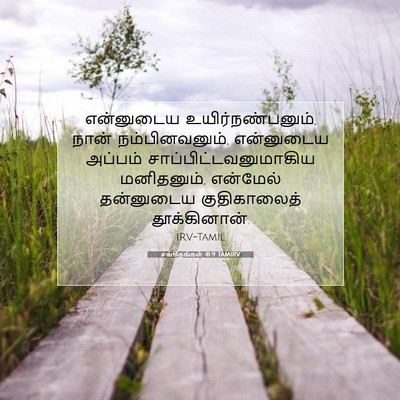 Picture 07 - சங்கீதங்கள் 41:9 TAMIRV - என்னுடைய - Bible Verse Picture