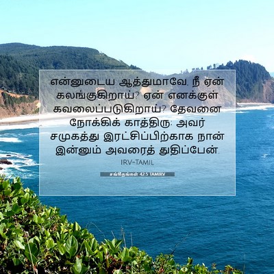 Picture 07 - சங்கீதங்கள் 42:5 TAMIRV - என்னுடைய - Bible Verse Picture