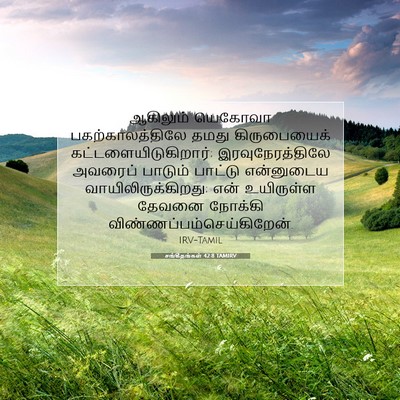 Picture 07 - சங்கீதங்கள் 42:8 TAMIRV - ஆகிலும் யெகோவா - Bible Verse Picture