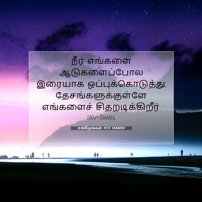 Picture 07 - சங்கீதங்கள் 44:11 TAMIRV - நீர் எங்களை - Bible Verse Picture
