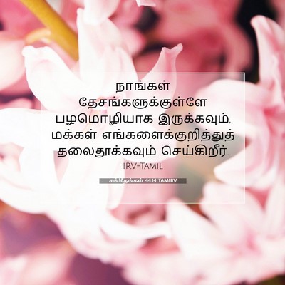 Picture 07 - சங்கீதங்கள் 44:14 TAMIRV - நாங்கள் - Bible Verse Picture