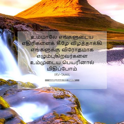 Picture 07 - சங்கீதங்கள் 44:5 TAMIRV - உம்மாலே எங்களுடைய - Bible Verse Picture