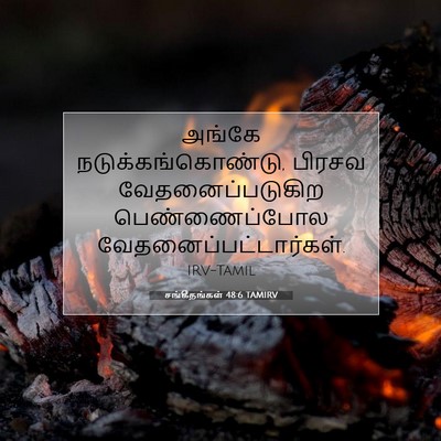 Picture 07 - சங்கீதங்கள் 48:6 TAMIRV - அங்கே - Bible Verse Picture
