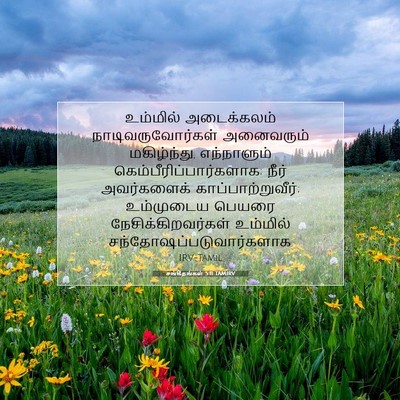 Picture 07 - சங்கீதங்கள் 5:11 TAMIRV - உம்மில் அடைக்கலம் - Bible Verse Picture