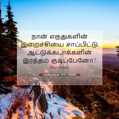 Picture 07 - சங்கீதங்கள் 50:13 TAMIRV - நான் எருதுகளின் - Bible Verse Picture