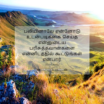 Picture 07 - சங்கீதங்கள் 50:5 TAMIRV - பலியினாலே என்னோடு - Bible Verse Picture