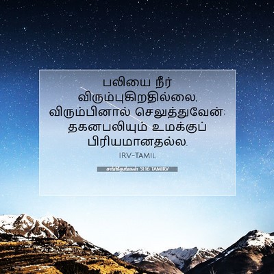 Picture 07 - சங்கீதங்கள் 51:16 TAMIRV - பலியை நீர் - Bible Verse Picture