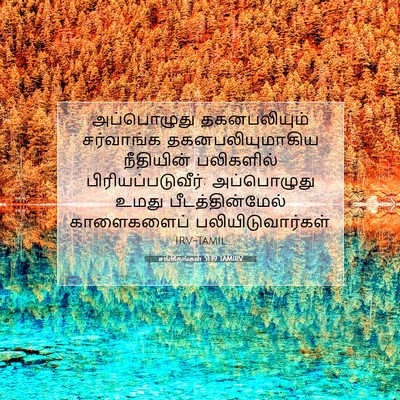 Picture 07 - சங்கீதங்கள் 51:19 TAMIRV - அப்பொழுது - Bible Verse Picture