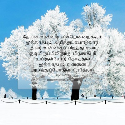 Picture 07 - சங்கீதங்கள் 52:5 TAMIRV - தேவன் உன்னை - Bible Verse Picture