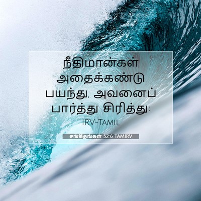 Picture 07 - சங்கீதங்கள் 52:6 TAMIRV - நீதிமான்கள் - Bible Verse Picture