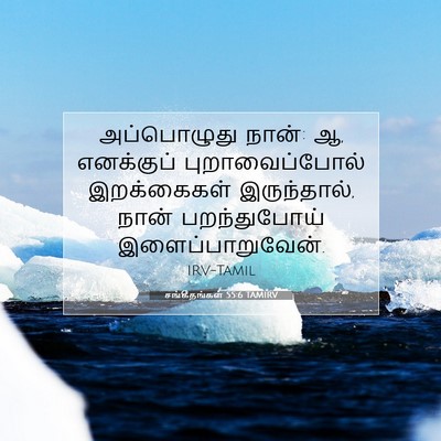 Picture 07 - சங்கீதங்கள் 55:6 TAMIRV - அப்பொழுது நான்: ஆ, - Bible Verse Picture