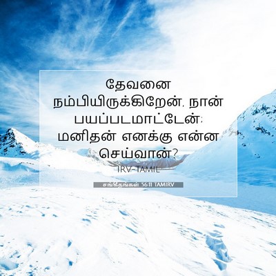 Picture 07 - சங்கீதங்கள் 56:11 TAMIRV - தேவனை - Bible Verse Picture