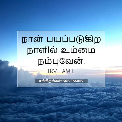 Picture 07 - சங்கீதங்கள் 56:3 TAMIRV - நான் பயப்படுகிற - Bible Verse Picture