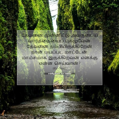 Picture 07 - சங்கீதங்கள் 56:4 TAMIRV - தேவனை முன்னிட்டு - Bible Verse Picture
