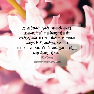 Picture 07 - சங்கீதங்கள் 56:6 TAMIRV - அவர்கள் ஒன்றாகக் - Bible Verse Picture