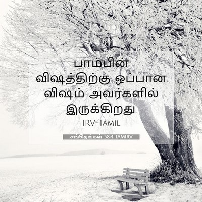 Picture 07 - சங்கீதங்கள் 58:4 TAMIRV - பாம்பின் - Bible Verse Picture