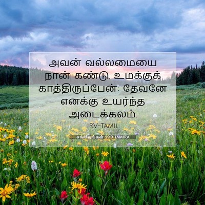 Picture 07 - சங்கீதங்கள் 59:9 TAMIRV - அவன் வல்லமையை - Bible Verse Picture