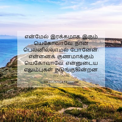Picture 07 - சங்கீதங்கள் 6:2 TAMIRV - என்மேல் இரக்கமாக - Bible Verse Picture