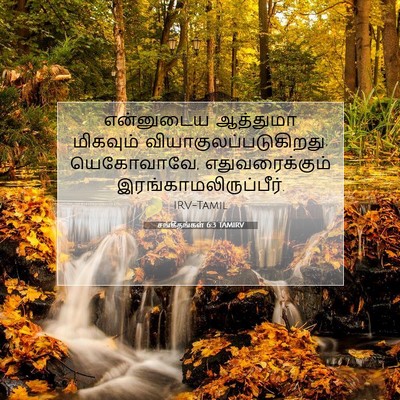 Picture 07 - சங்கீதங்கள் 6:3 TAMIRV - என்னுடைய ஆத்துமா - Bible Verse Picture