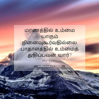 Picture 07 - சங்கீதங்கள் 6:5 TAMIRV - மரணத்தில் உம்மை - Bible Verse Picture