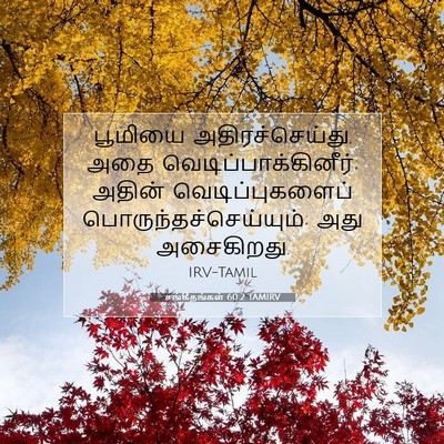Picture 07 - சங்கீதங்கள் 60:2 TAMIRV - பூமியை - Bible Verse Picture