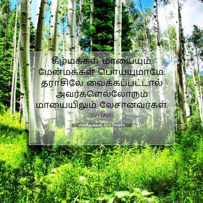 Picture 07 - சங்கீதங்கள் 62:9 TAMIRV - கீழ்மக்கள் - Bible Verse Picture